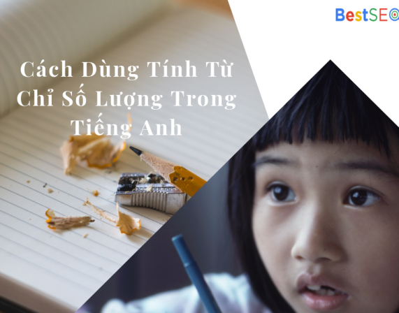 Tổng Hợp Những Tính Từ Chỉ Số Lượng (Adj Of Quanlity) Trong Tiếng Anh